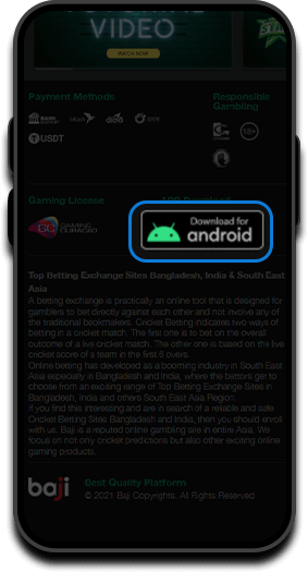download raja baji app
